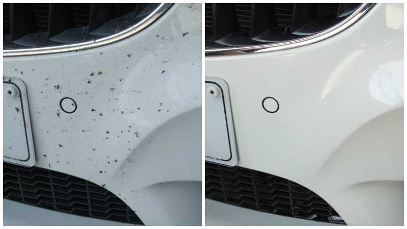 Bug-And-Tar-Removers-Before-and-After